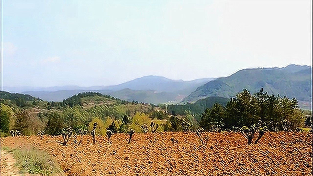 学成归来深山觅龙形,飞鸟捕食现真身,带您认识赤蛇绕印