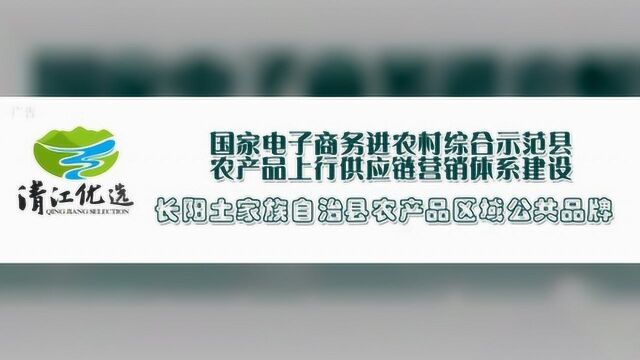 全国近70所高校湖北预估录取分数线最新出炉!各位考生和家长快快收好吧