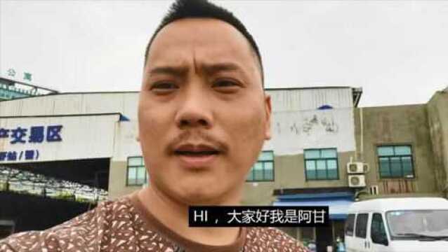 路林市场螃蟹虾交易区没赶上只能看卸货