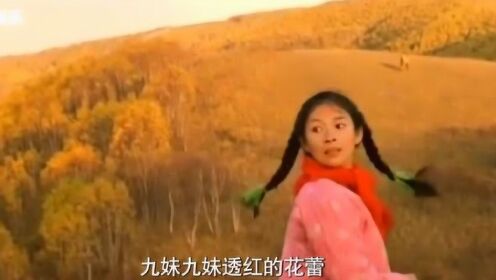 黄鹤翔演唱《九妹》，曾经流行的经典老歌，非常好听