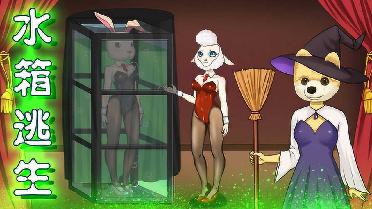 狗头魔术揭秘:海绵人的极限水箱逃生!完美障眼法就这样完成?