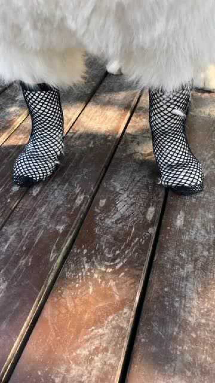 穿罗马鞋,要配上丝袜才性感,这一腿的毛性感吗