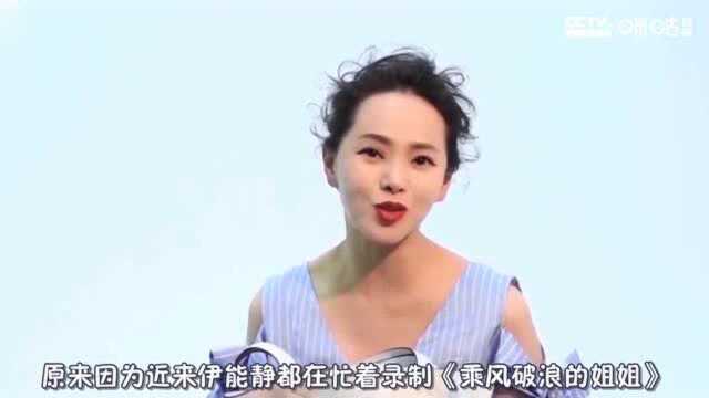 伊能静如约为秦昊献上生日小作文,才女气质尽显