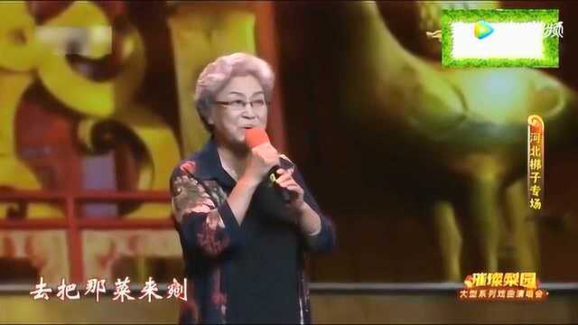 梅花奖王凤芝河北梆子不愧是女王,一人唱完一台戏