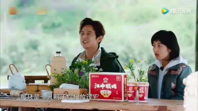 刘宪华巴图欢乐上演“鸭子王”,何炅看了表示想打人