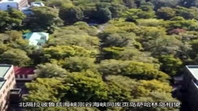 北海道是日本第二大岛屿,构成日本行政单位道