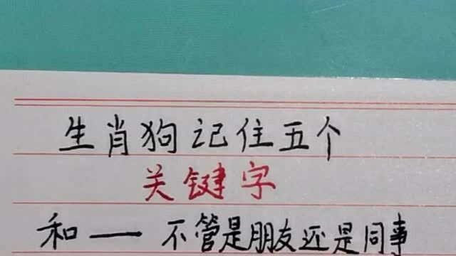 属狗的人,记住这五个关键字,事业运会更好