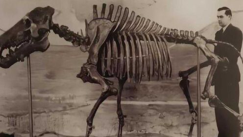 1870年，阿尔卑斯山出土恐颌猪化石，这种巨猪可以战胜小型恐龙