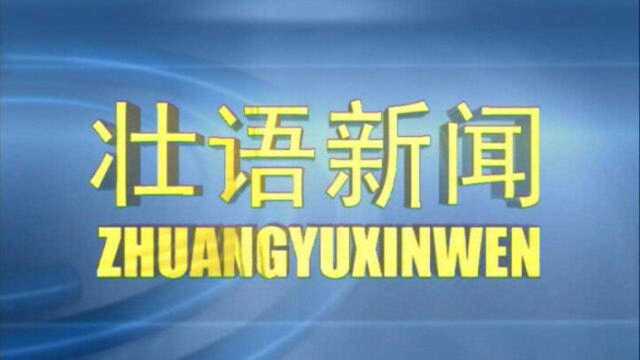 2020年8月12日壮语新闻