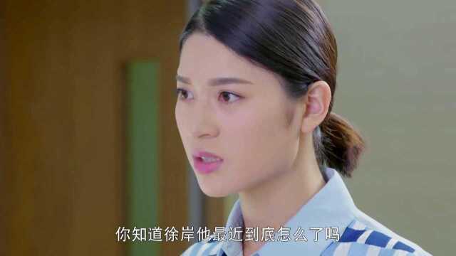 情谜睡美人:徐岸一声不响离开医院,依婷担心坏了,狠狠责备