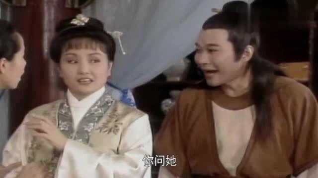 新白娘子传奇:白素贞生孩子全家忙的团团转,不料姐姐也要生了!