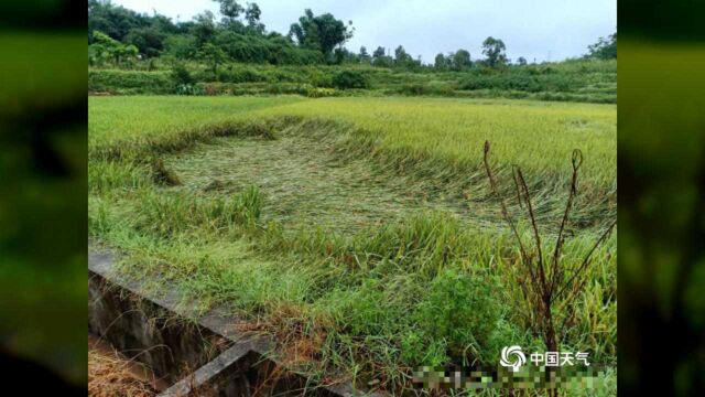 四川内江遭遇区域性大暴雨 多地受灾