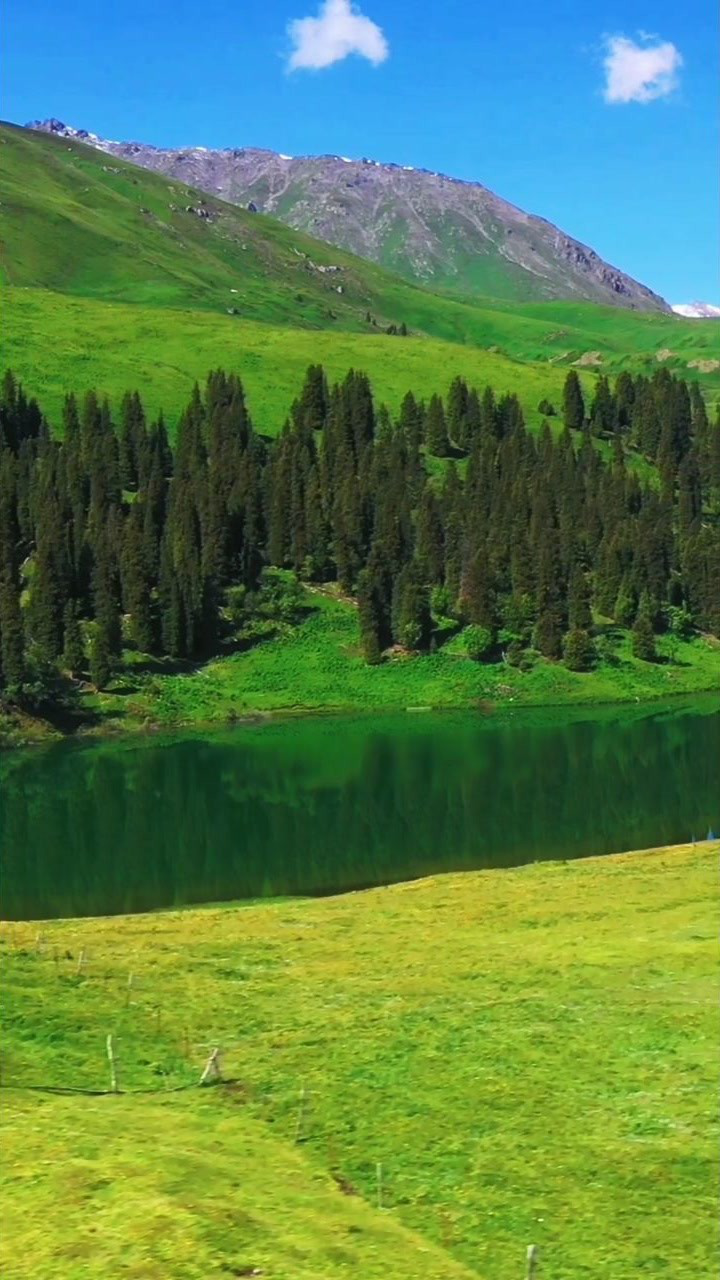 新疆伊犁尼勒克县唐布拉仙女湖路口距离乔尔玛17公里海拔2500米长800