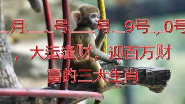 8月16日后鸿运当头、官运亨通,财运更旺到爆的3大生肖!