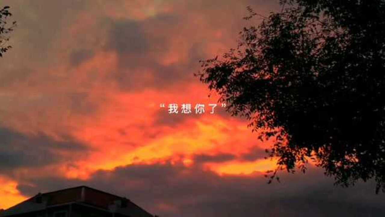 我想你了我想你了我想你啦