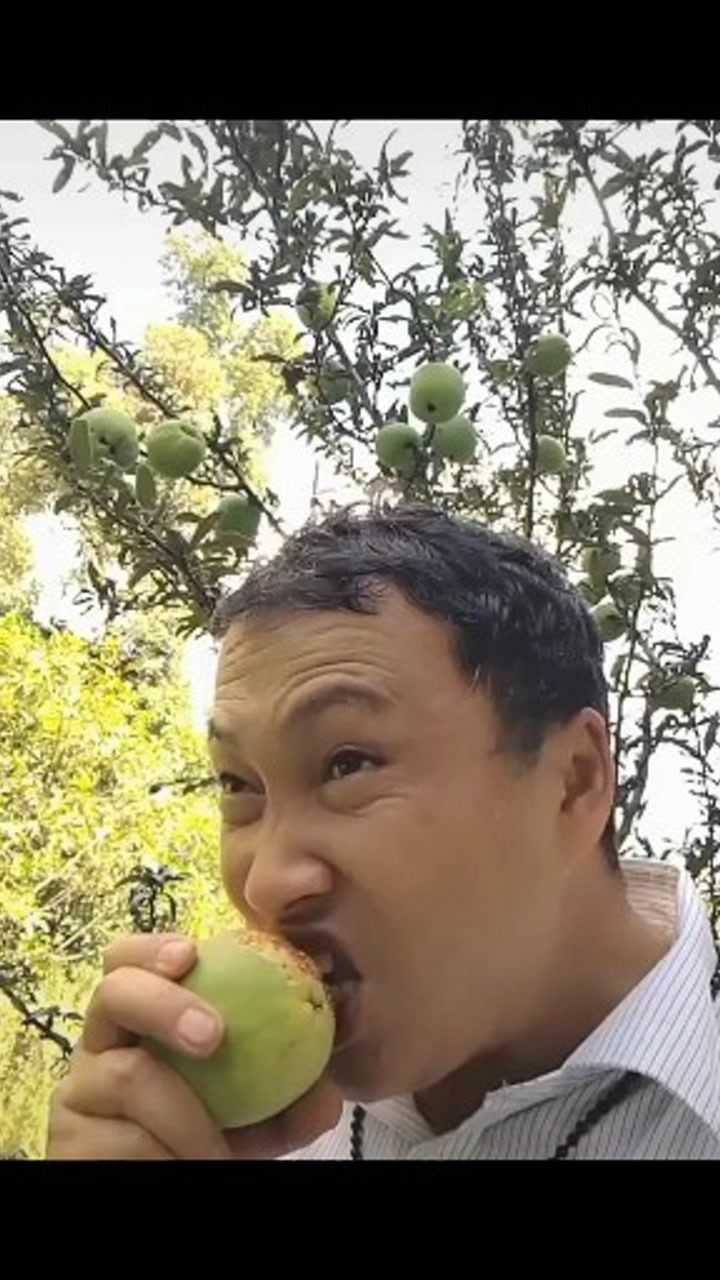 云南老表这样吃木瓜,我看不下去了