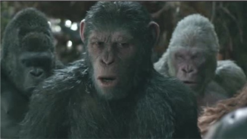 猩球崛起3：猩猩太聪明，特种兵都打不过它们，结果被凯撒活捉！