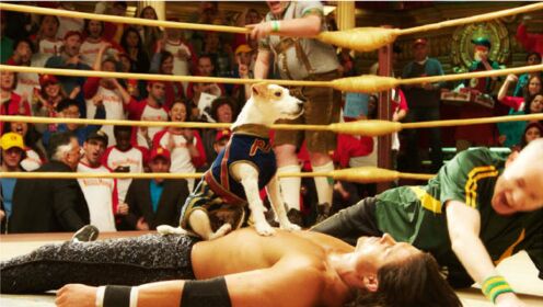 喜剧片：流浪狗为了吃饱饭，上擂台与摔跤手比赛，最后竟拿到了金腰带