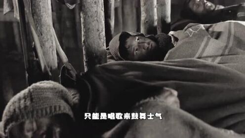 《高原激战》：士兵们被大雪困住，却因一颗小树找到了希望