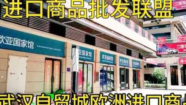 武汉自贸城欧洲国家进口商品批发地,全球进口商品批发联盟,基地