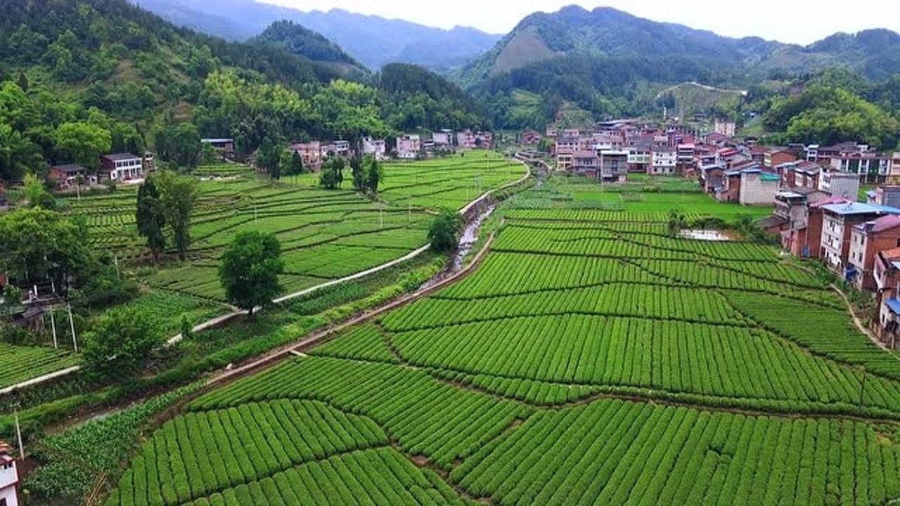 广福风景23航拍开江县广福镇铁厂广福福龟茶园