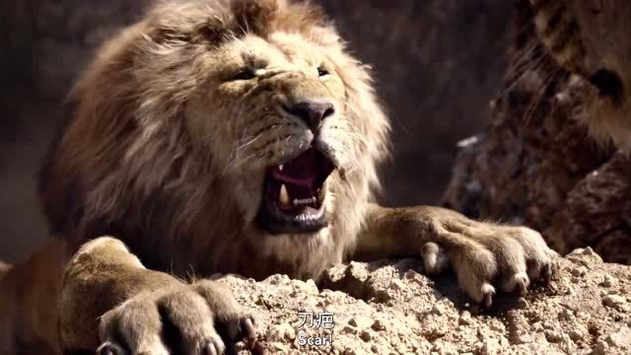 狮子王刀疤竟然把木法沙推下了悬崖真是太残忍了