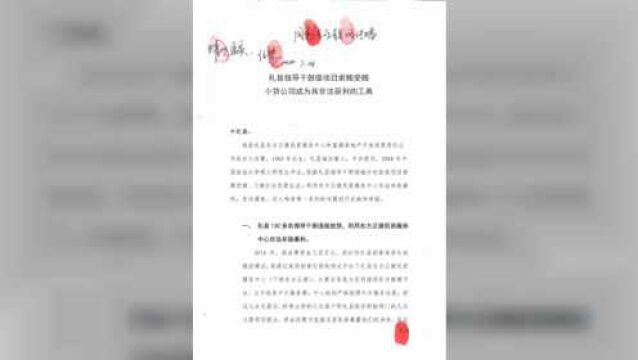 甘肃涉罪女商人实名举报:小贷公司成干部牟利工具,公职人员当“隐形股东”