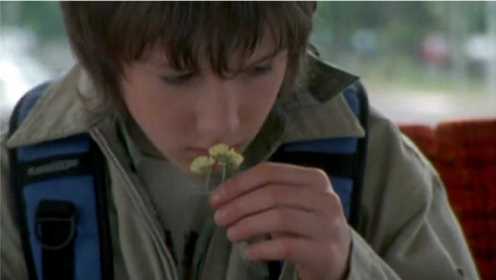《爱之香气》：11岁小男孩，天生具有异于常人的嗅觉，真神奇