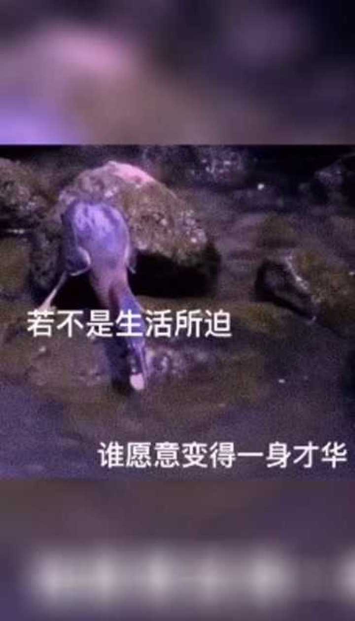 若非生活所迫表情包图片