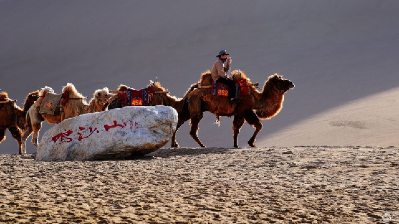 《驼铃》经典电影《戴手铐的旅客》主题曲蒋大为名曲