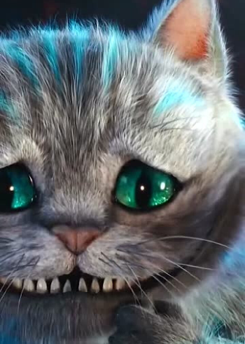 一只会微笑的猫!柴郡猫笑起来真的有点狰狞啊!