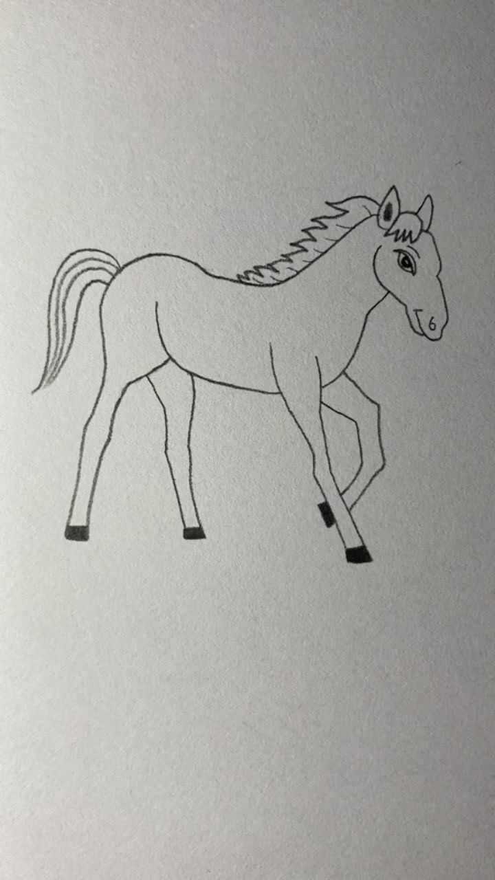 画一匹英俊的白马,你学会了吗