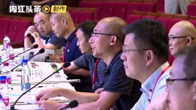 中国创翼 内江获省级决赛一等奖