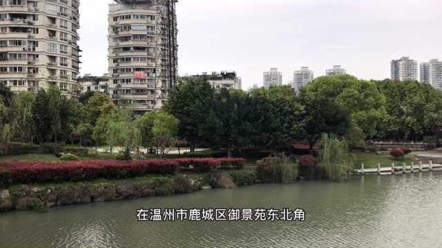 温州滨江蒲州湾滨水公园