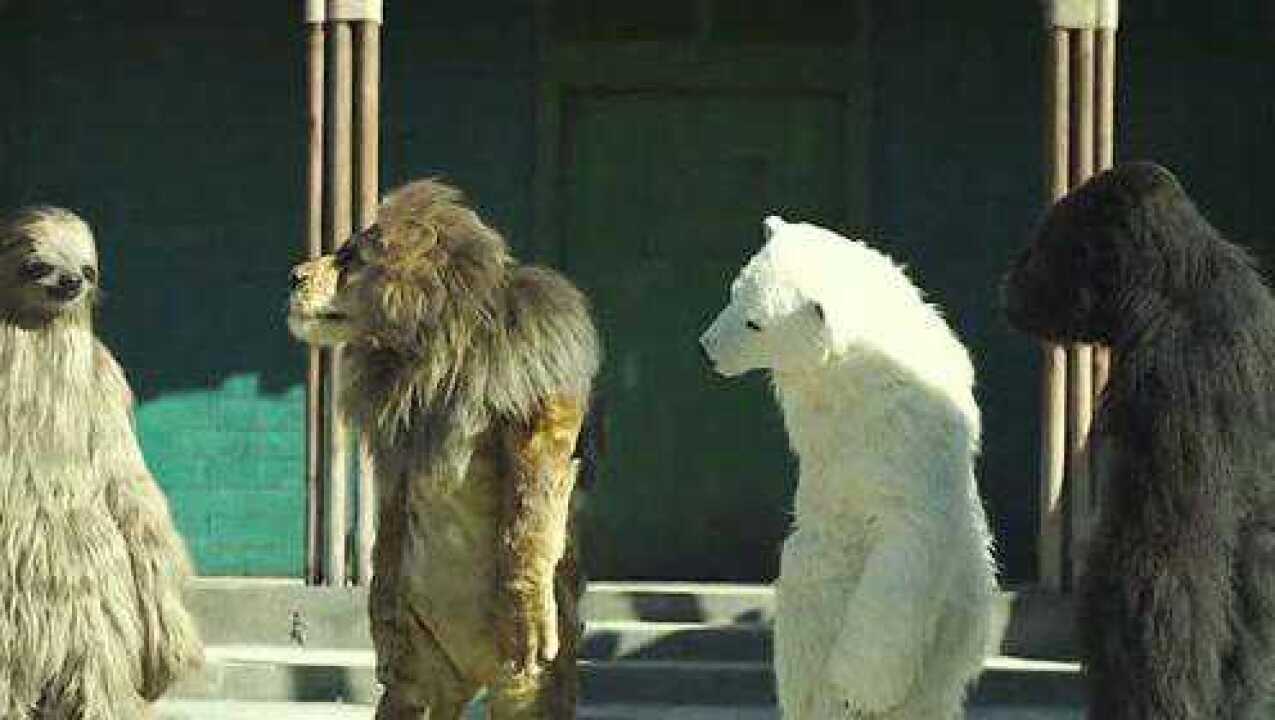 这是我见过最奇葩的动物园里面的动物都是真人扮演的你更看好谁的演技