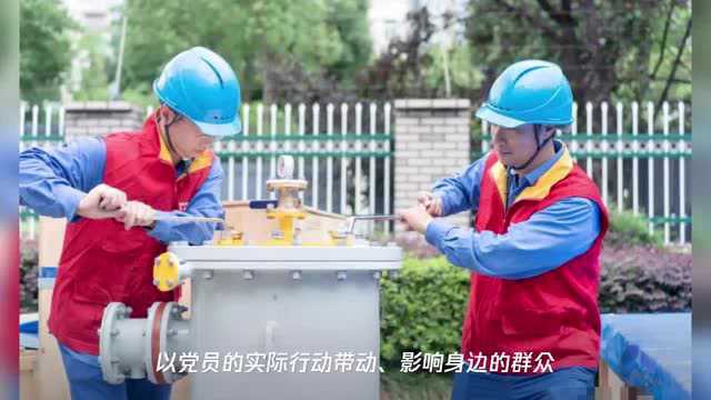 党徽熠熠促增效,宁波供电提质电网建设