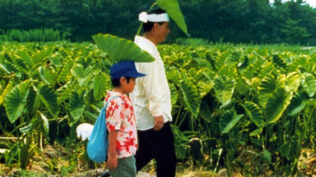 三分钟看完日本电影《菊次郎的夏天》,大叔与少年的温馨暑假之旅