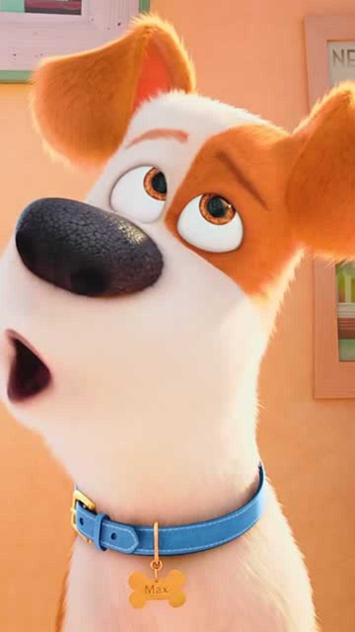 爱宠大机密麦克和杜老大的cp组合