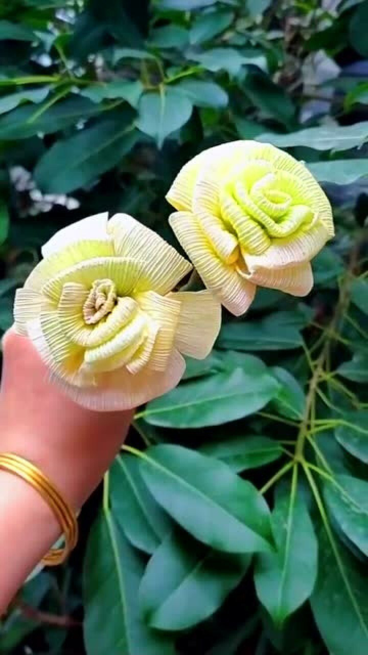 玉米皮真是个好东西,做玫瑰花简单又漂亮,你学会了吗