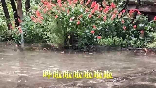 崔一乔演唱的《下雨》,歌声甜美,太好听了