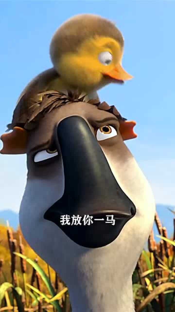 你给我记住我是有脾气的,不是放马的