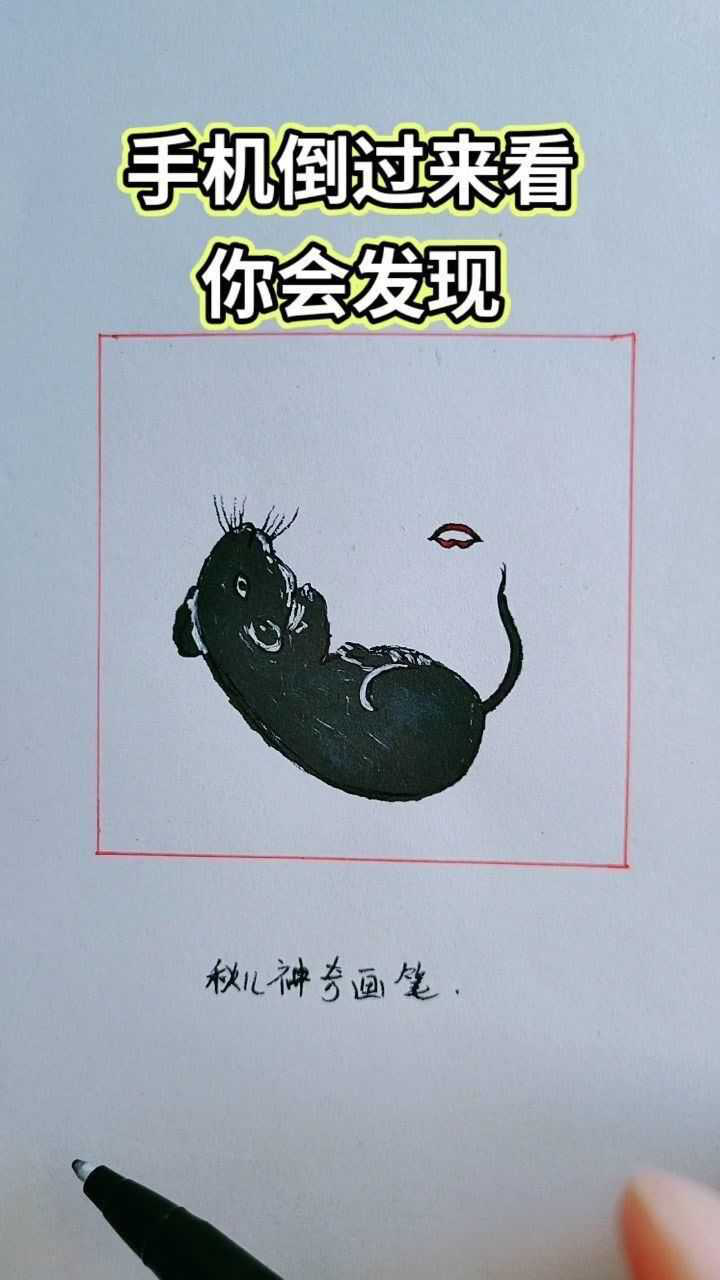 手机倒过来看你会发现另一幅画面