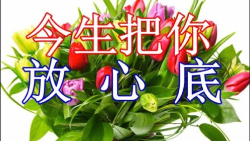 我只想好好的爱你《今生把你放心底》不让你受任何委屈