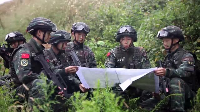 千万别眨眼!高山密林,围观“魔鬼周”极限训练现场