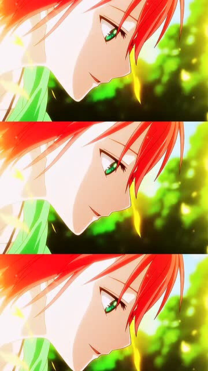 魔法使的新娘从天而降的智世穿着婚纱的她好美