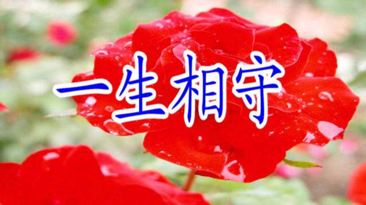 送给最爱的人,愿和你一生相守到白头!