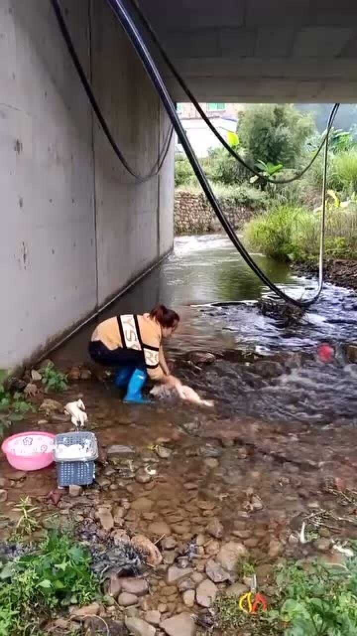 叫老婆杀鸡又杀鸭她发脾气了