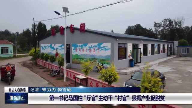 第一书记马国柱:“厅官”主动干“村官” 狠抓产业促脱贫