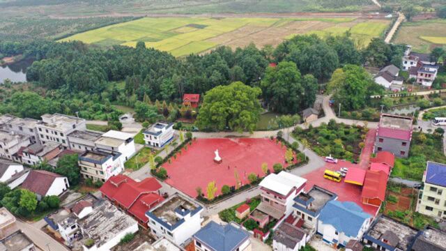 金秋航拍常宁平安油茶小镇,省级美丽乡村稻浪翻滚 油茶飘香