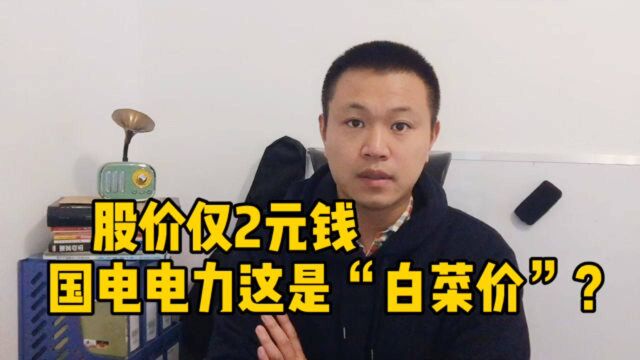 世界500强主要公司之一,股价仅2元钱,国电电力这是“白菜价”?